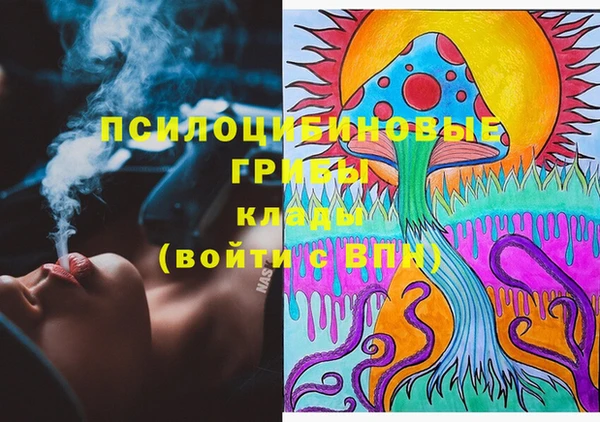 шишки Алексеевка