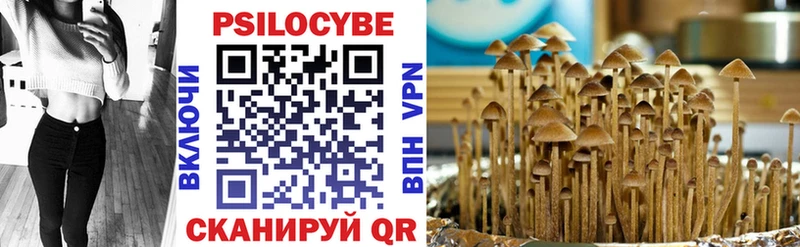 omg ССЫЛКА Гагарин Галлюциногенные грибы GOLDEN TEACHER
