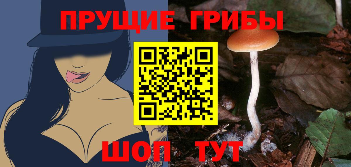 Галлюциногенные грибы Psilocybine cubensis Гагарин