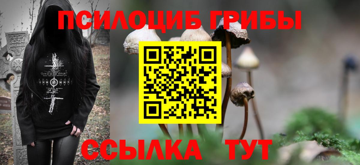 хочу наркоту  Псилоцибиновые грибы Psilocybine cubensis  Вход с VPN  Гагарин 