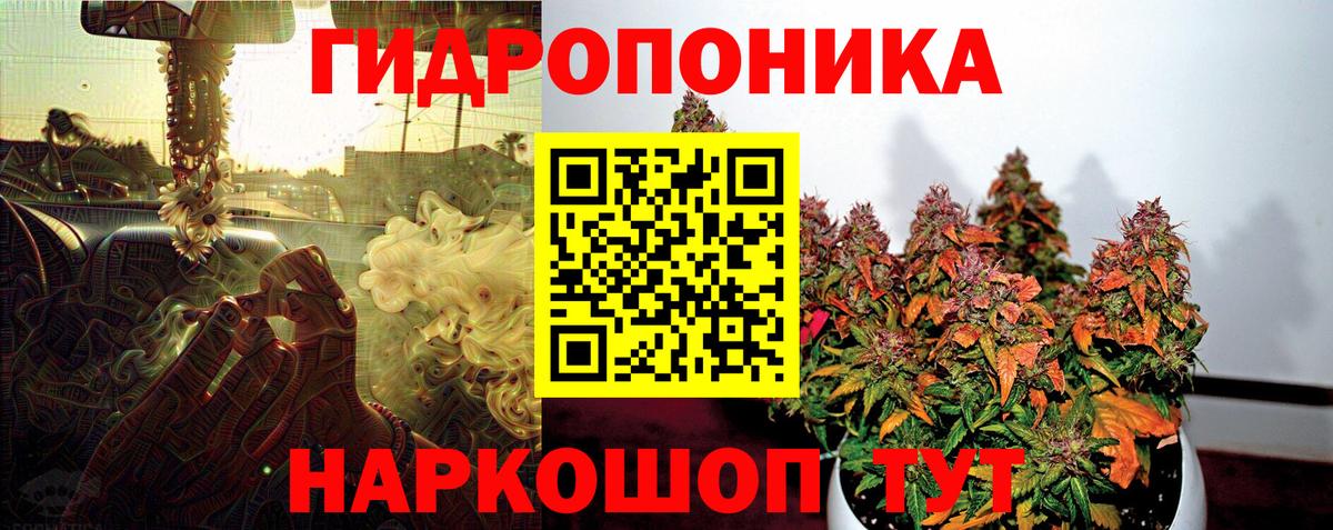 Каннабис семена Гагарин